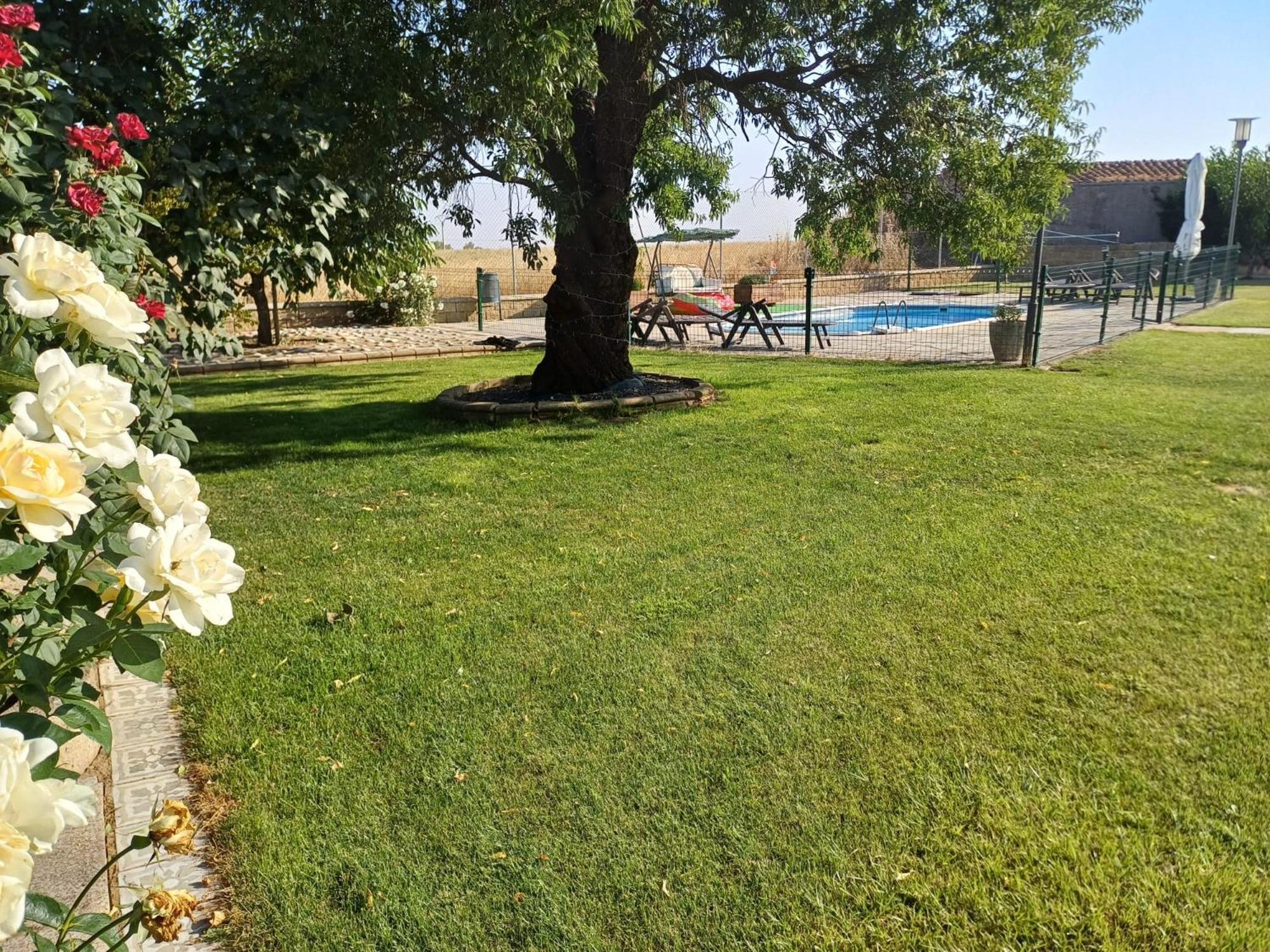 Villa El Almendro Del Cura à Villarmayor  Extérieur photo